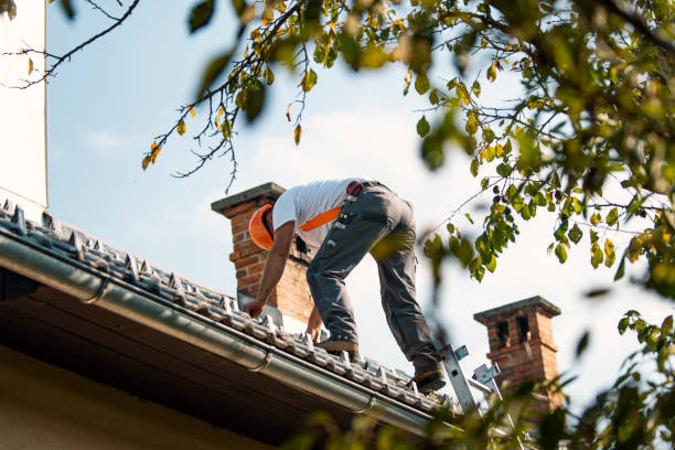 Best Metal Roofing Contractor  in Slaton, TX